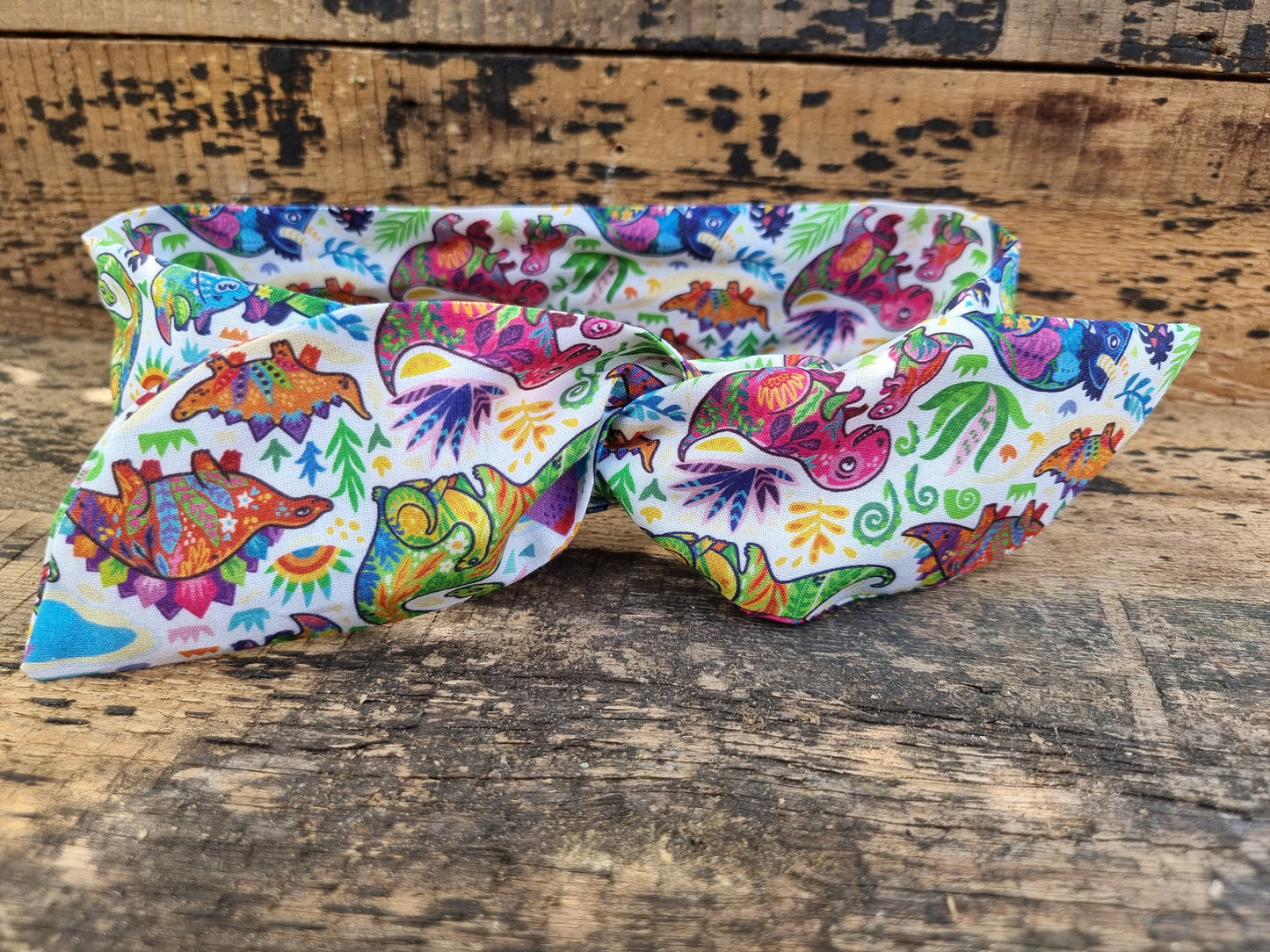 Funky Rainbow Dinosaurs Wired Headband