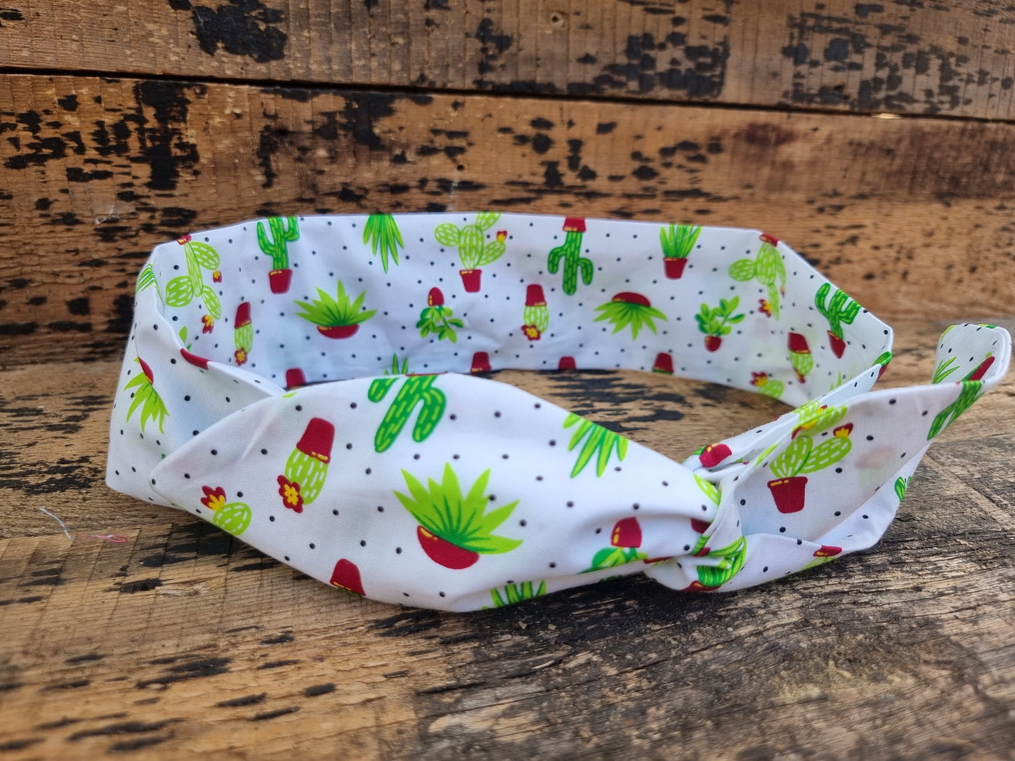 Potted Cacti Wired Headband